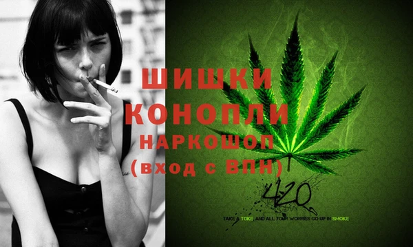 PSILOCYBIN Нефтекумск