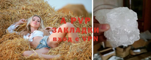 PSILOCYBIN Нефтекумск