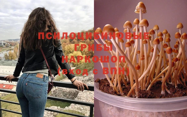 PSILOCYBIN Нефтекумск