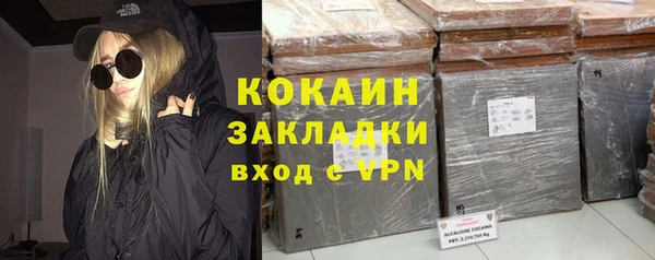 твердый Новозыбков