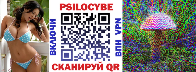 kraken зеркало  Петушки  Псилоцибиновые грибы Psilocybe 
